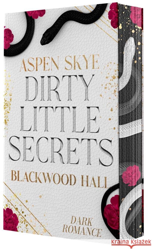 Dirty Little Secrets Skye, Aspen 9783989425187