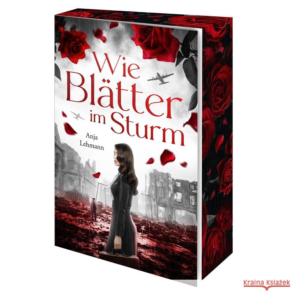 Wie Blätter im Sturm Lehmann, Anja 9783989425743 Nova MD