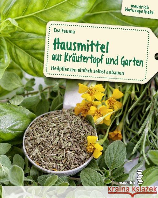 Hausmittel aus Kräutertopf und Garten : Heilpflanzen einfach selbst anbauen Fauma, Eva 9783990020678 Maudrich