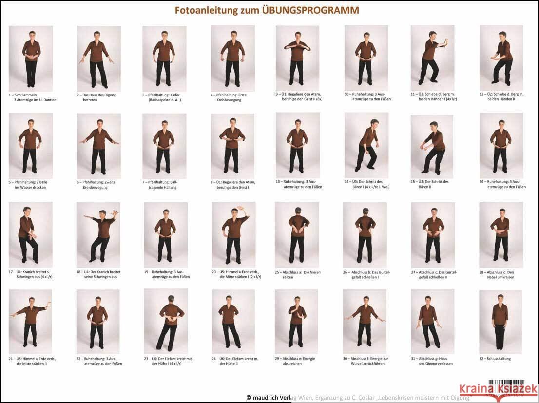 Qigong-Übungsprogramm Goslar, Cora 9783990021415