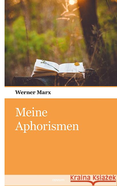 Meine Aphorismen Marx, Werner 9783990106785