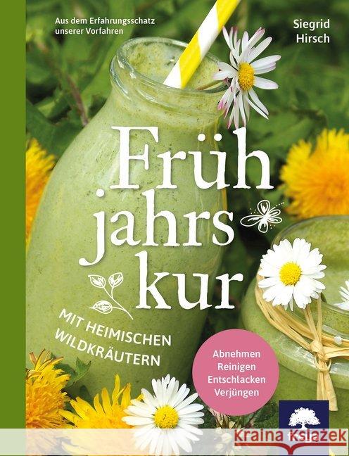 Frühjahrskur mit heimischen Wildkräutern : Aus dem Erfahrungsschatz unserer Vorfahren. Abnehmen. Reinigen. Entschlacken. Verjüngen Hirsch, Siegrid 9783990250433 Freya