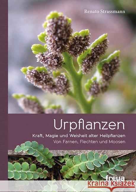 Urpflanzen : Kraft, Magie und Weisheit alter Heilpflanzen. Von Farnen, Flechten und Moosen Strassmann, Renato 9783990250914