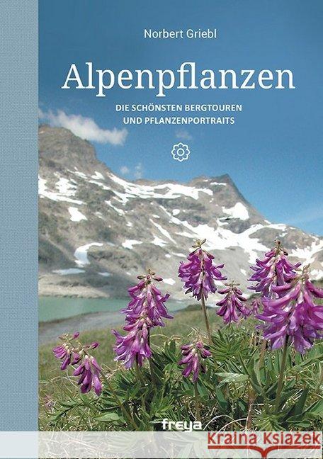 Alpenpflanzen : Die schönsten Bergtouren und Pflanzenportraits Griebl, Norbert 9783990251850 Freya