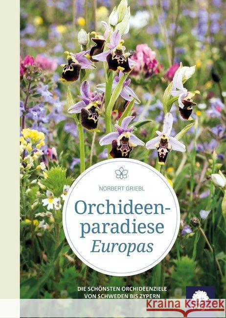 Orchideenparadiese Europas : Die schönsten Orchideenziele von Schweden bis Zypern Griebl, Norbert 9783990252437 Freya