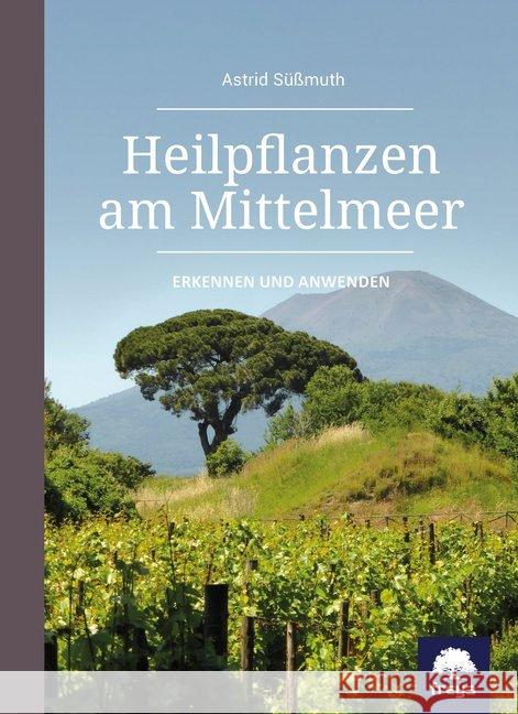 Heilpflanzen am Mittelmeer : Erkennen und anwenden Süßmuth, Astrid 9783990252987