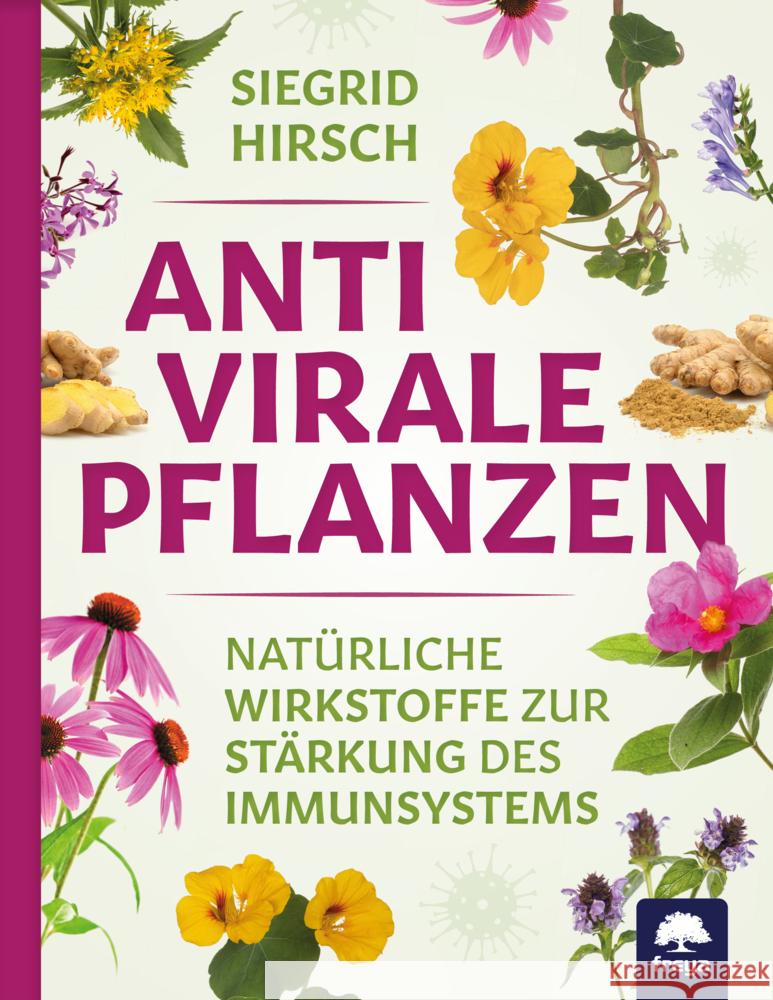 Antivirale Pflanzen Hirsch, Siegrid 9783990254165 Freya