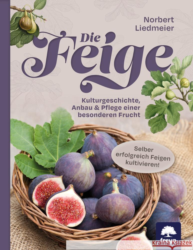 Die Feige Liedmeier, Norbert 9783990254325 Freya