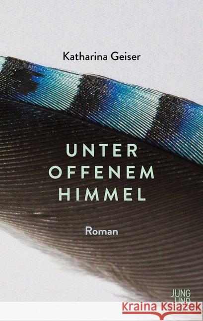 Unter offenem Himmel : Roman Geiser, Katharina 9783990272398 Jung und Jung