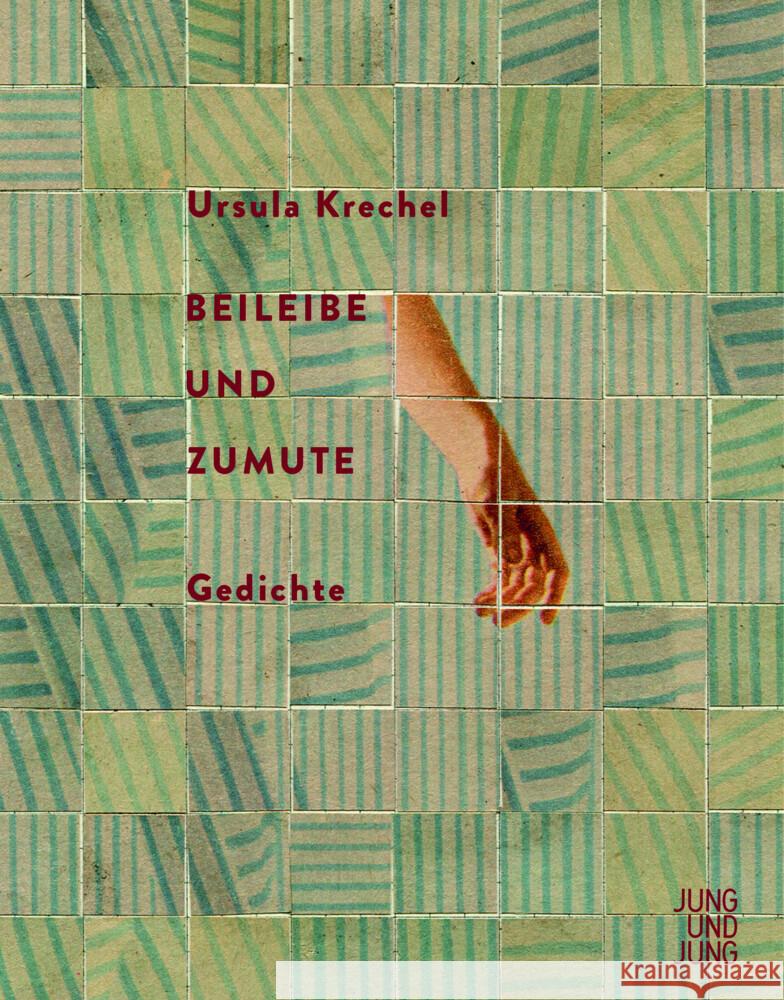 Beileibe und Zumute Krechel, Ursula 9783990272473