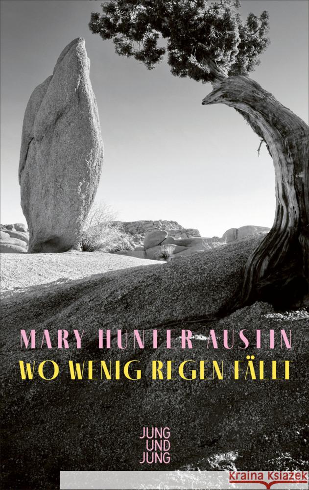 Wo wenig Regen fällt Hunter Austin, Mary 9783990272770