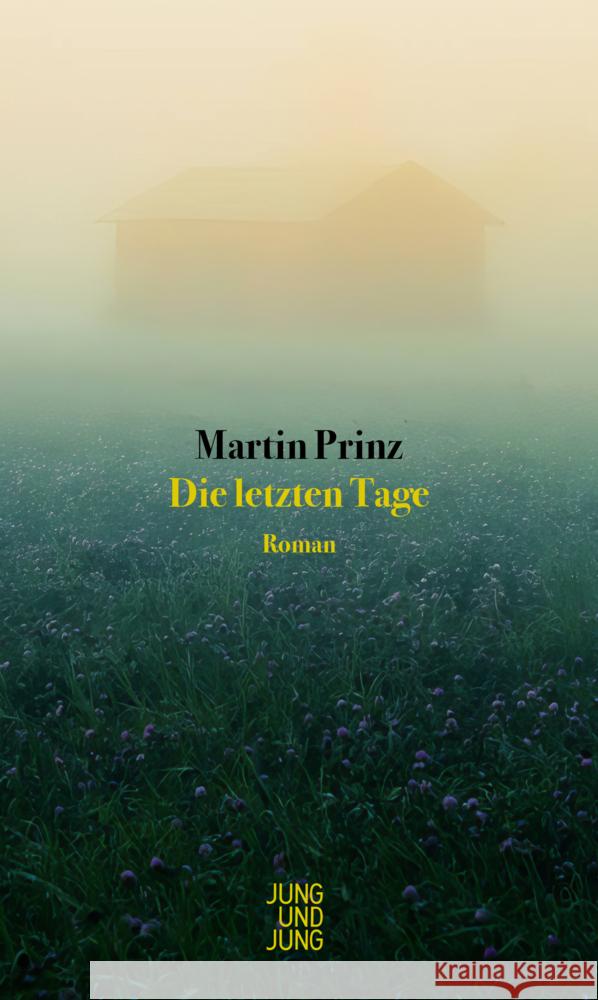 Die letzten Tage Prinz, Martin 9783990274156