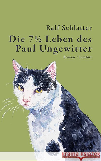 Die 7½ Leben des Paul Ungewitter Schlatter, Ralf 9783990392706