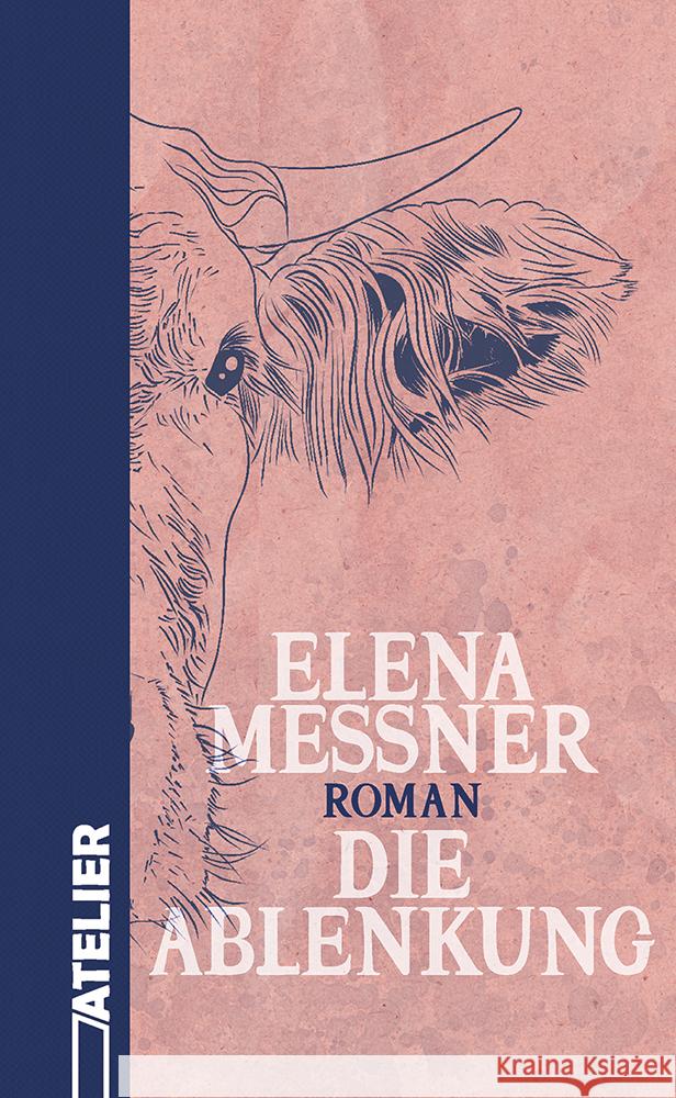 Die Ablenkung Messner, Elena 9783990651377