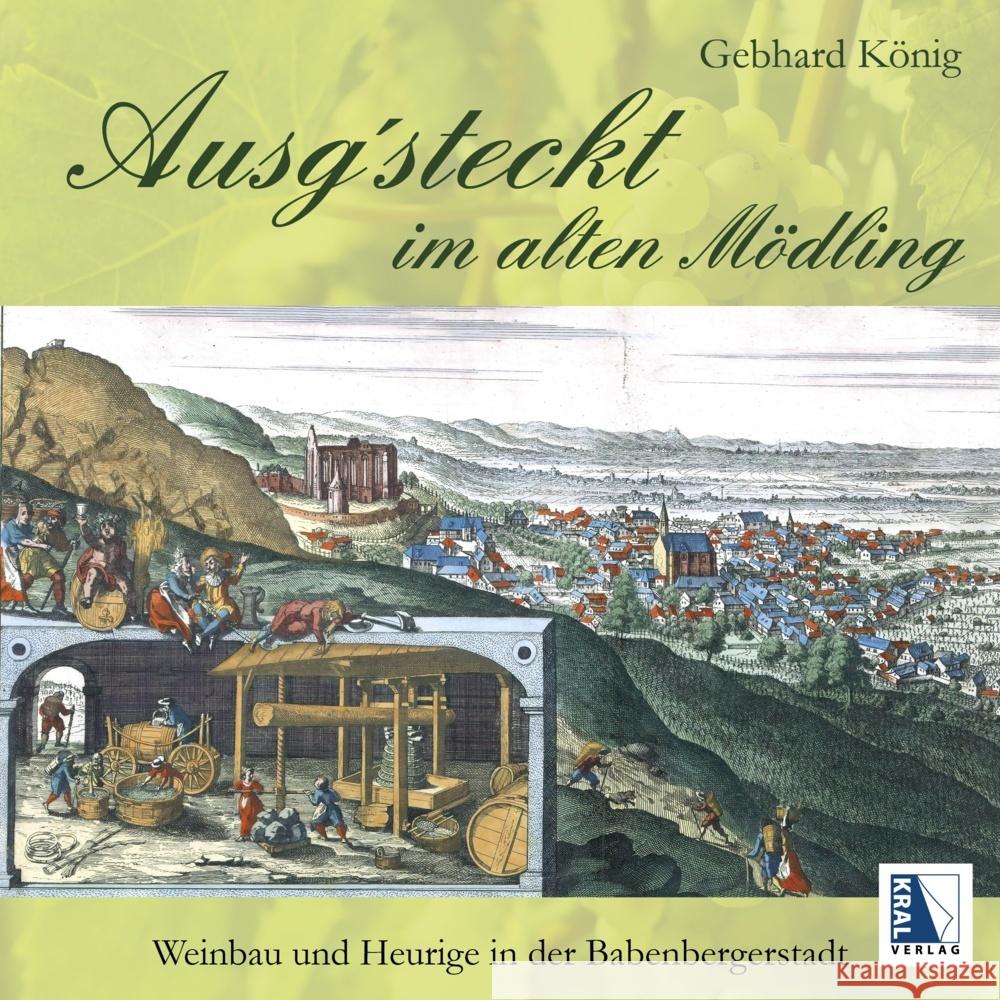 Ausg'steckt im alten Mödling König, Gebhard 9783991033165