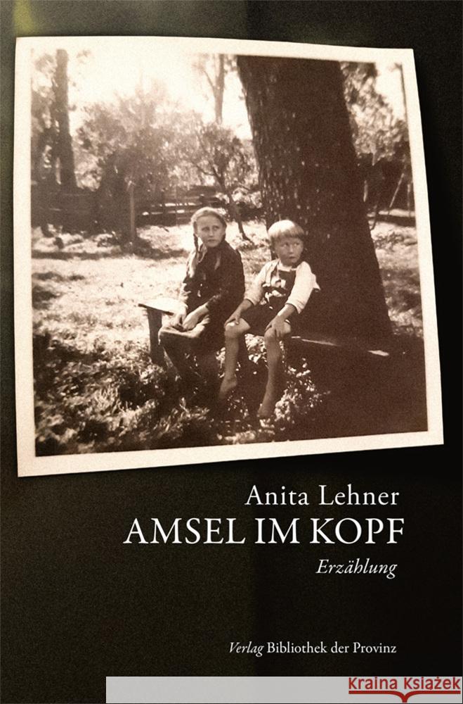 Amsel im Kopf Lehner, Anita 9783991261001