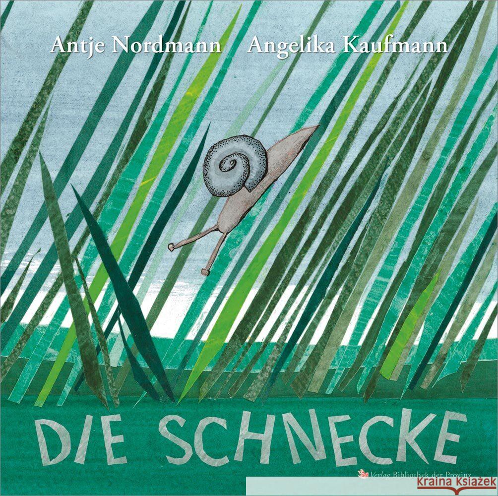 Die Schnecke Nordmann, Antje 9783991261407