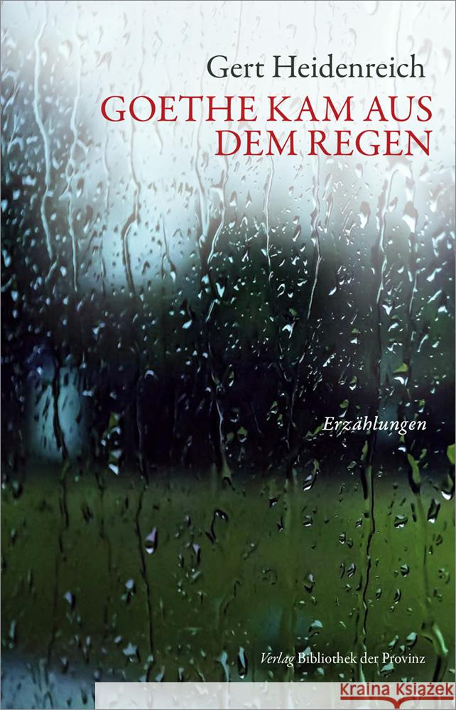Goethe kam aus dem Regen Heidenreich, Gert 9783991263999