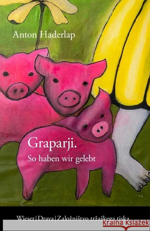 Graparji - So haben wir gelebt Haderlap, Anton 9783991380634 Wieser Verlag