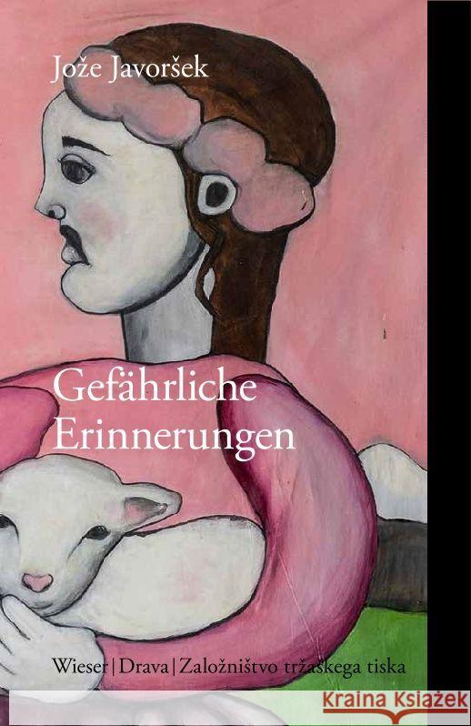 Gefährliche Erinnerung Javorsek, Joze 9783991380658 Wieser Verlag