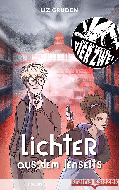 Lichter aus dem Jenseits Liz Gruden 9783991467250