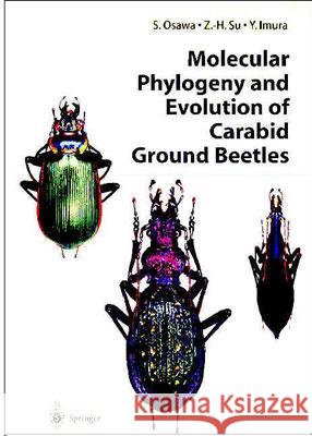 Molecular Phylogeny and Evolution of Carabid Ground Beetles Syozo Osawa Zhi-Hui Su Yuki Imura 9784431004875
