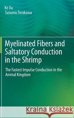 Myelinated Fibers and Saltatory Conduction in the Shrimp: The Fastest Impulse Conduction in the Animal Kingdom Xu, Ke 9784431539230 Springer