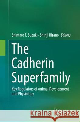 The Cadherin Superfamily: Key Regulators of Animal Development and Physiology Suzuki, Shintaro T. 9784431567592 Springer