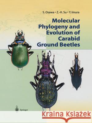 Molecular Phylogeny and Evolution of Carabid Ground Beetles S. Osawa Z. -H Su Y. Imura 9784431679691 Springer