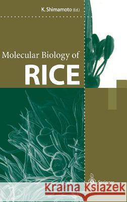 Molecular Biology of Rice Ko Shimamoto K. Shimamoto 9784431702153 Springer