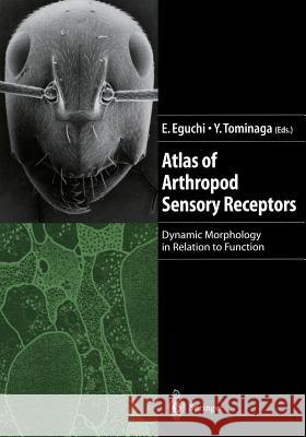 Atlas of Arthropod Sensory Receptors: Dynamic Morphology in Relation to Function Eguchi, Eisuke 9784431702337