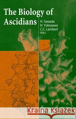 The Biology of Ascidians H. Sawada H. Yokisawa C. C. Lambert 9784431702962 Springer Japan