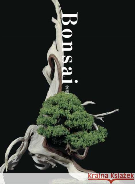 Bonsai Kunio Kobayashi 9784756248299 PIE Books