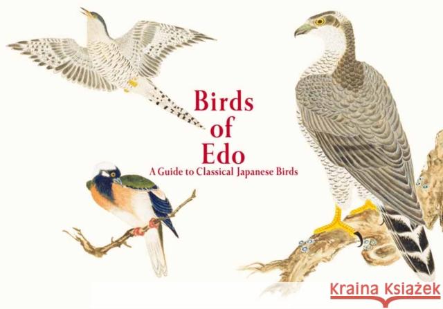 Birds of Edo: A Guide to Classical Japanese Birds PIE International 9784756253392