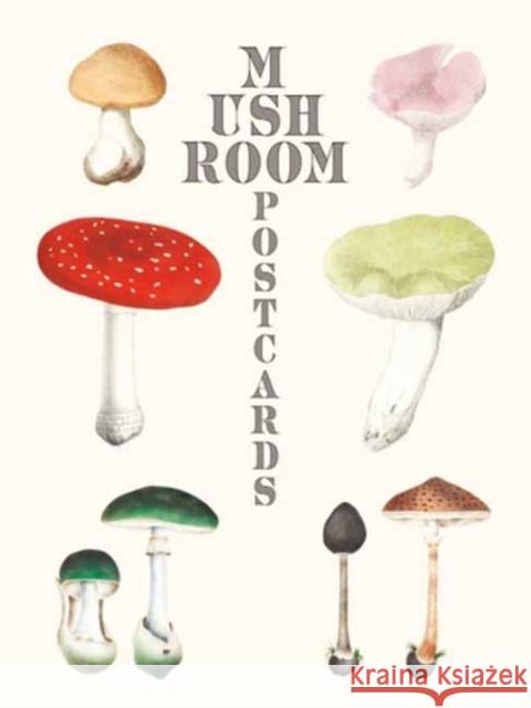 Mushroom Postcards Pie International 9784756253804 Pie International Co., Ltd.