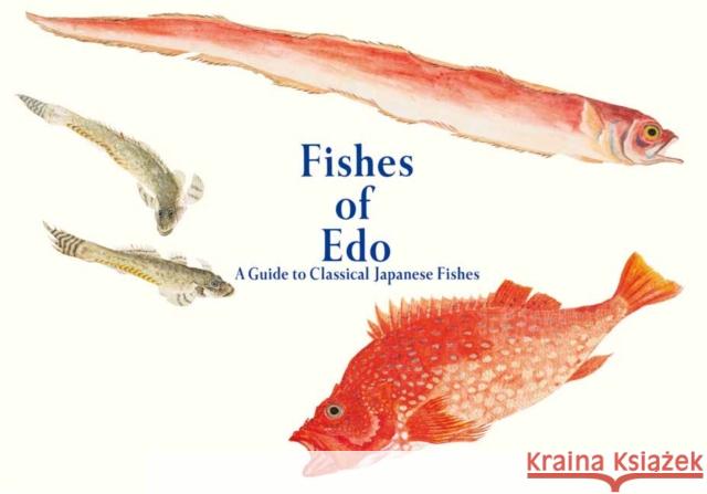 Fishes of Edo: A Guide to Classical Japanese Fishes Kazuhiko Tajima 9784756256522