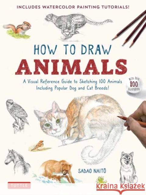 How to Draw Animals: A Visual Reference Guide to Sketching 100 Animals Including Popular Dog and Cat Breeds! (With over 800 illustrations) Sadao Naito 9784805317358 Tuttle Publishing