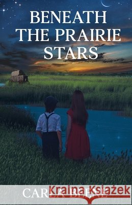 Beneath the Prairie Stars Beene, Carla 9784824185730 Next Chapter