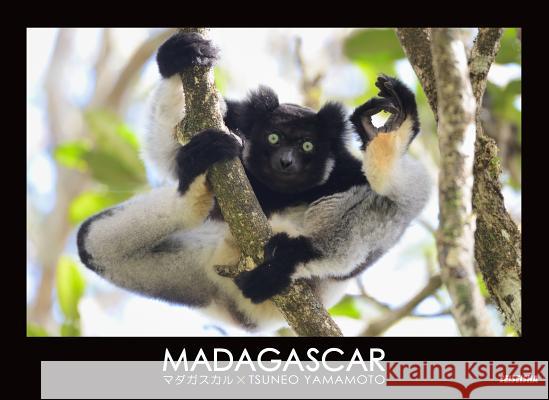 Madagascar Tsuneo Yamamoto 9784883501779 Seiseisha