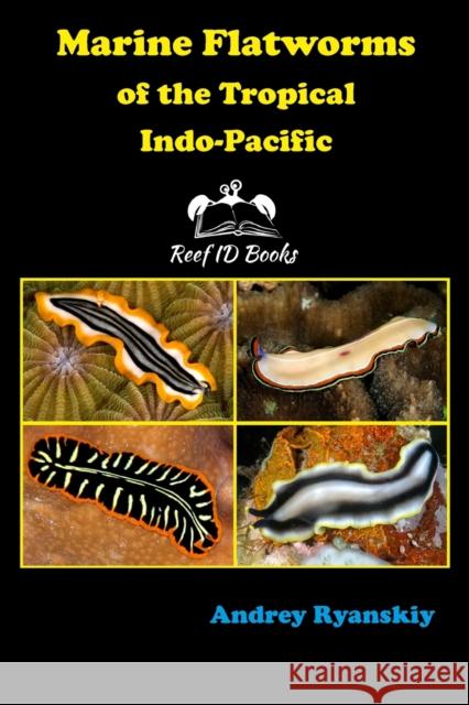 Marine Flatworms of the Tropical Indo-Pacific Andrey Ryanskiy   9785604204979 Andrey Ryanskiy