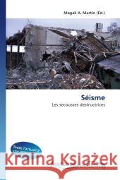 Séisme : Les secousses destructrices Martin, Magali A. 9786130114817