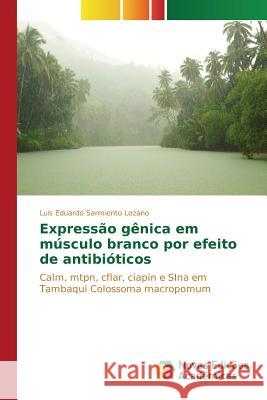 Expressão gênica em músculo branco por efeito de antibióticos Sarmiento Lozano Luis Eduardo 9786130162313