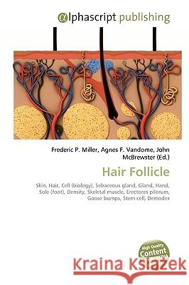 Hair Follicle Frederic P. Miller 9786130274641 