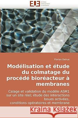 Modelisation Et Etude Du Colmatage Du Procede Bioreacteur a Membranes Florian Delrue 9786131501470 Editions Universitaires Europeennes