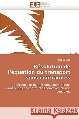 R�solution de l''�quation Du Transport Sous Contraintes Picq-M 9786131508127 Omniscriptum