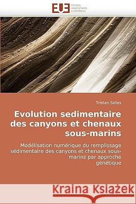 Evolution Sedimentaire Des Canyons Et Chenaux Sous-Marins Salles-T 9786131510304