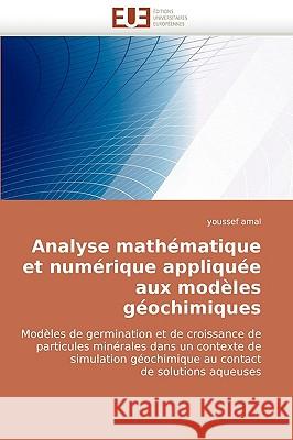 Analyse Mathematique Et Numerique Appliquee Aux Modeles Geochimiques Youssef Amal 9786131510618