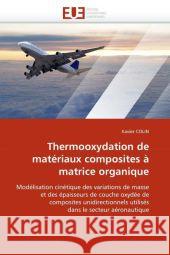 Thermooxydation de Matériaux Composites À Matrice Organique Colin-X 9786131512544 Editions Universitaires Europeennes