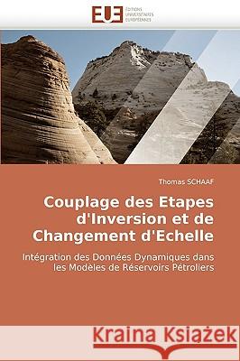 Couplage Des Etapes d''inversion Et de Changement d''echelle Schaaf-T 9786131513305