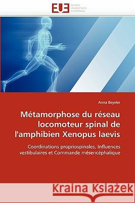 Métamorphose Du Réseau Locomoteur Spinal de l''amphibien Xenopus Laevis Beyeler-A 9786131531897